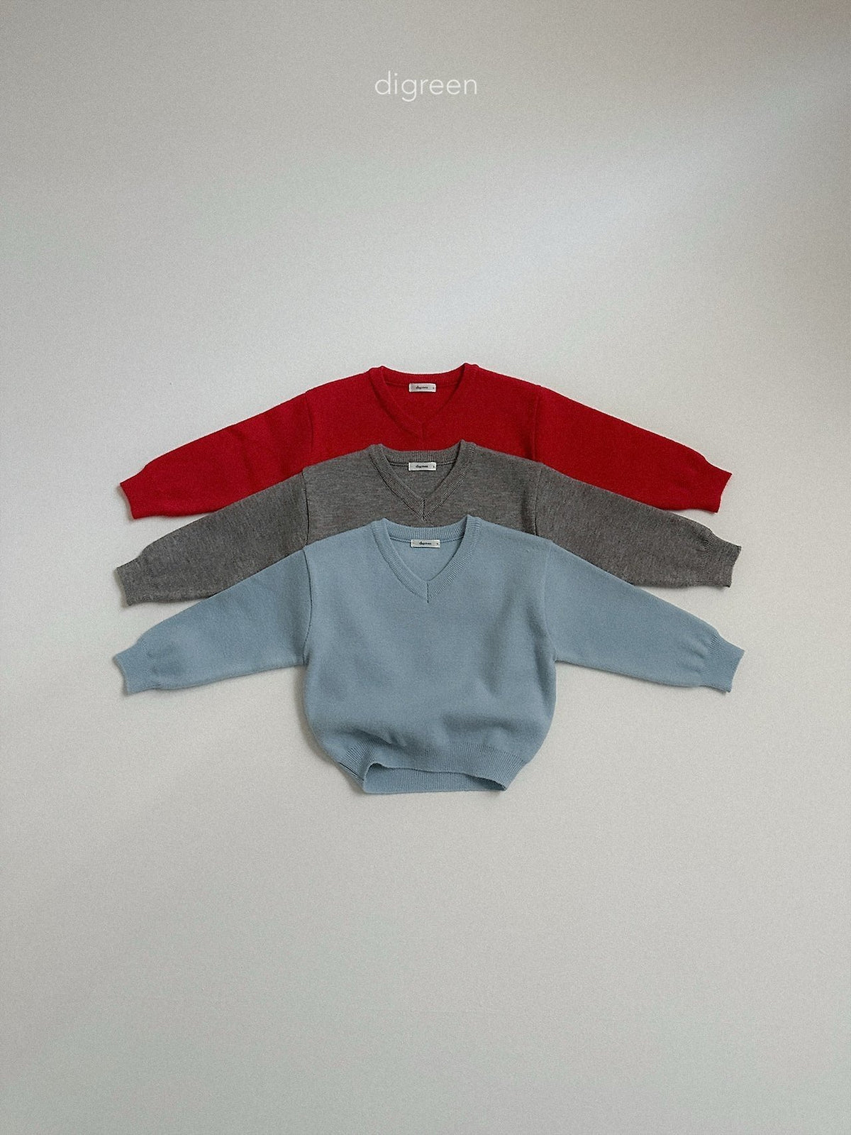 《予約》Cozy V-Neck Knit / digreen