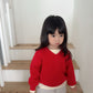 《予約》Cozy V-Neck Knit / digreen