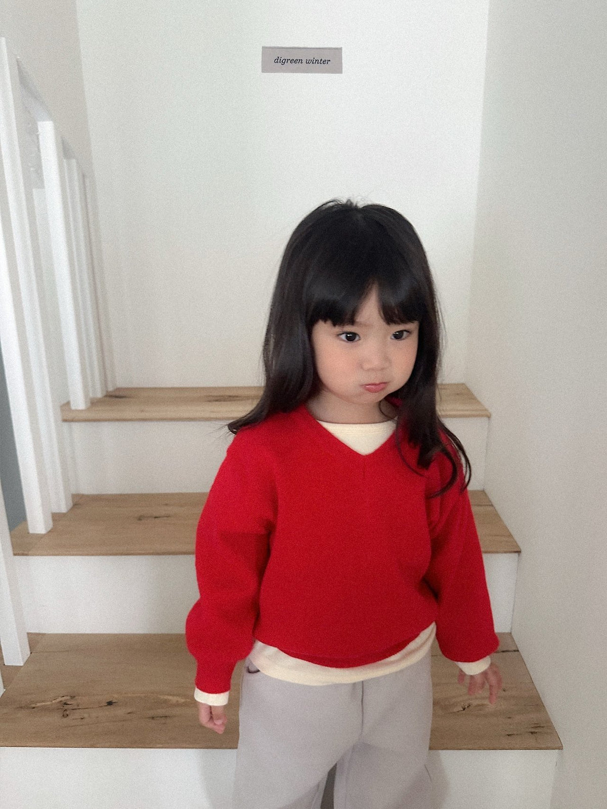 《予約》Cozy V-Neck Knit / digreen