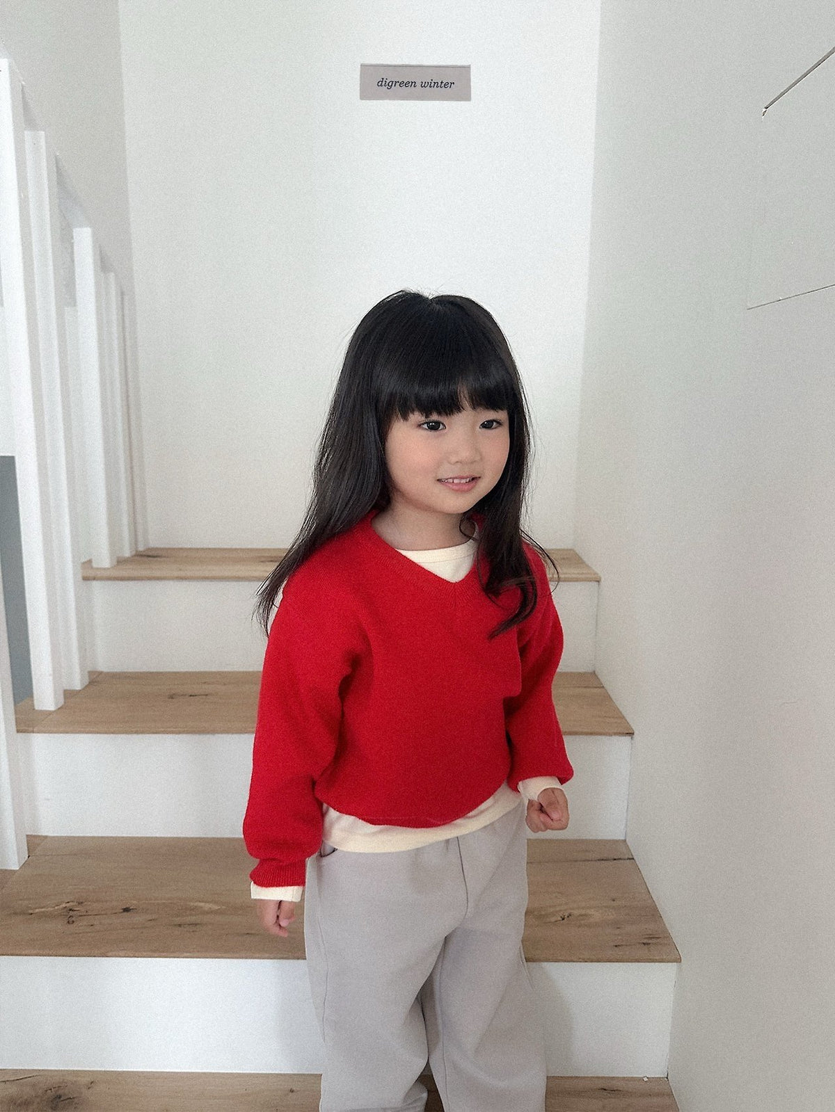 《予約》Cozy V-Neck Knit / digreen