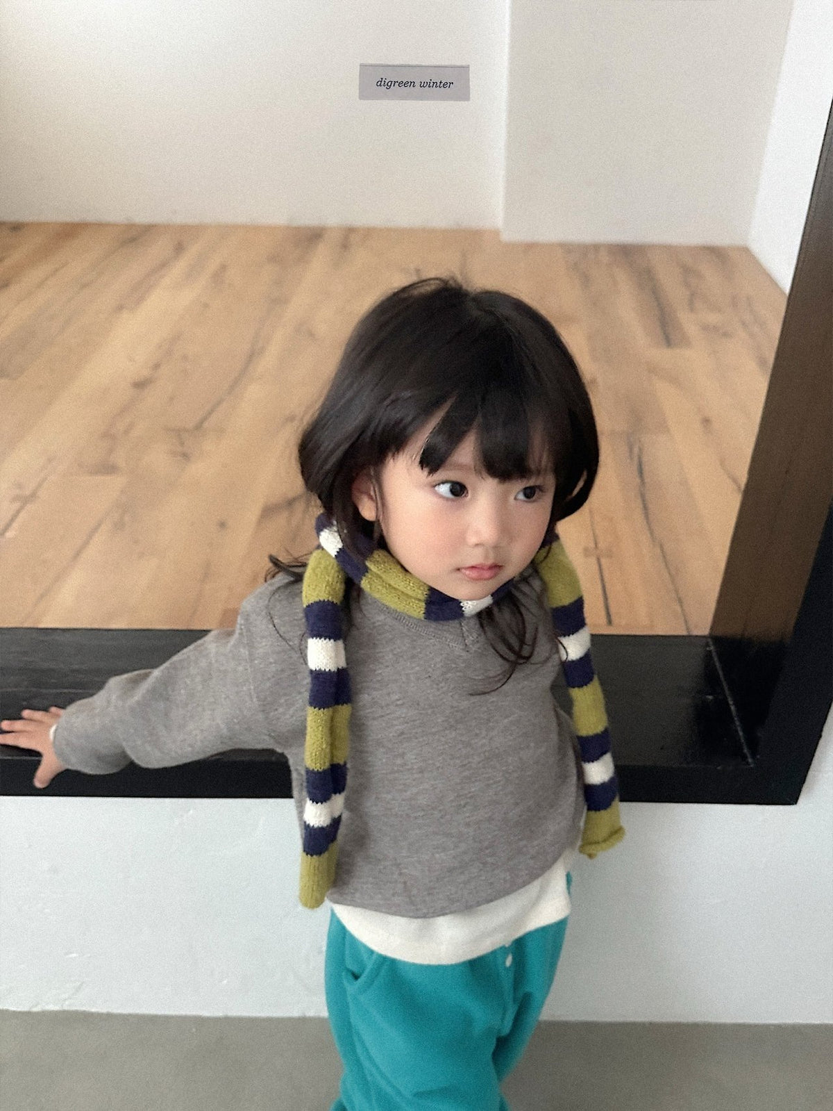 《予約》Cozy V-Neck Knit / digreen