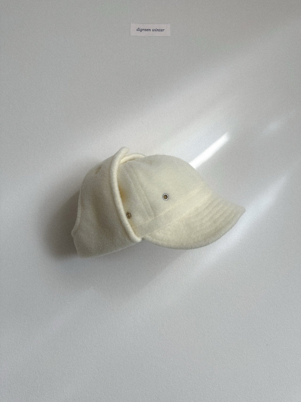 《予約》Flight Cap / digreen