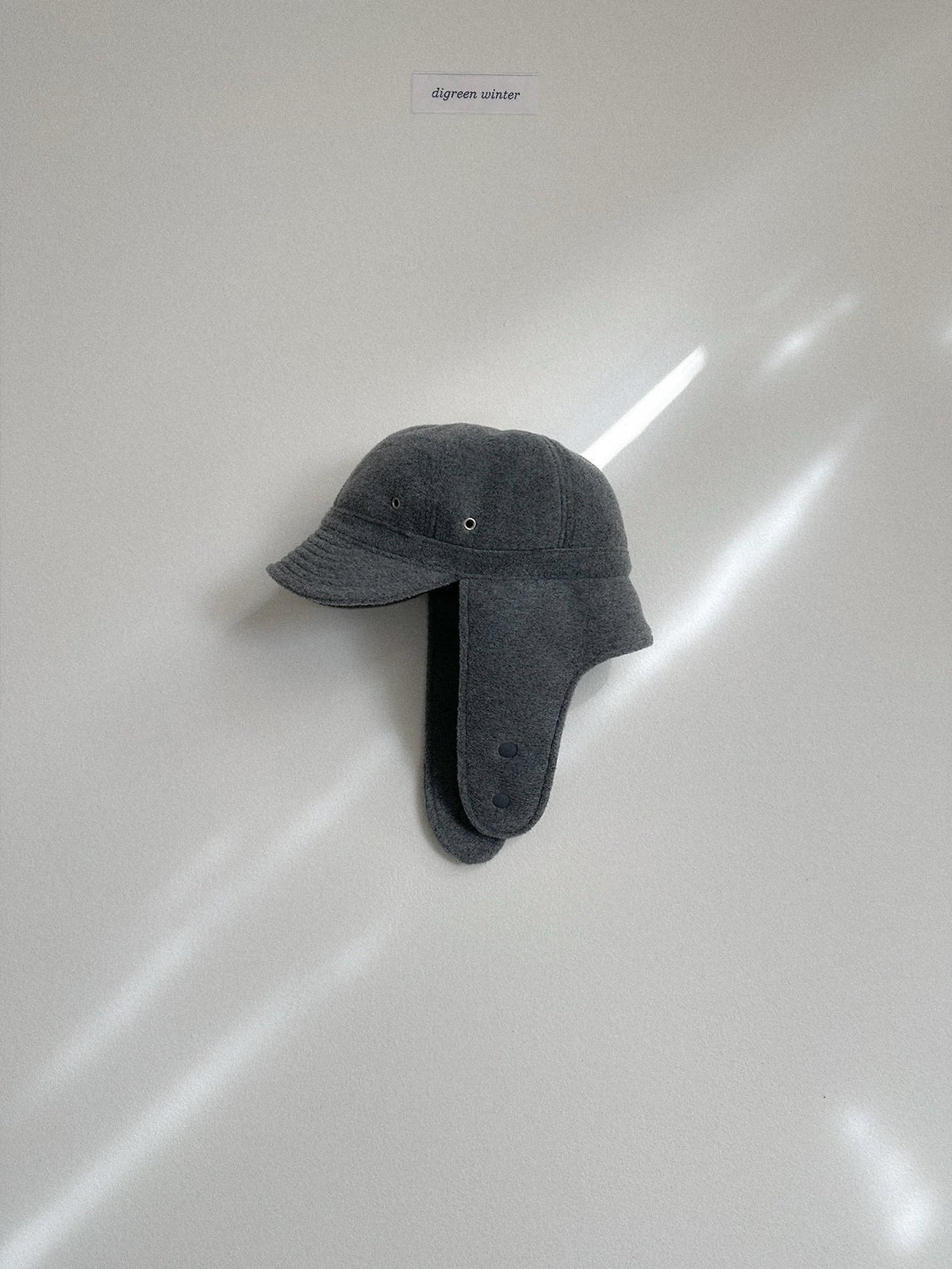 《予約》Flight Cap / digreen
