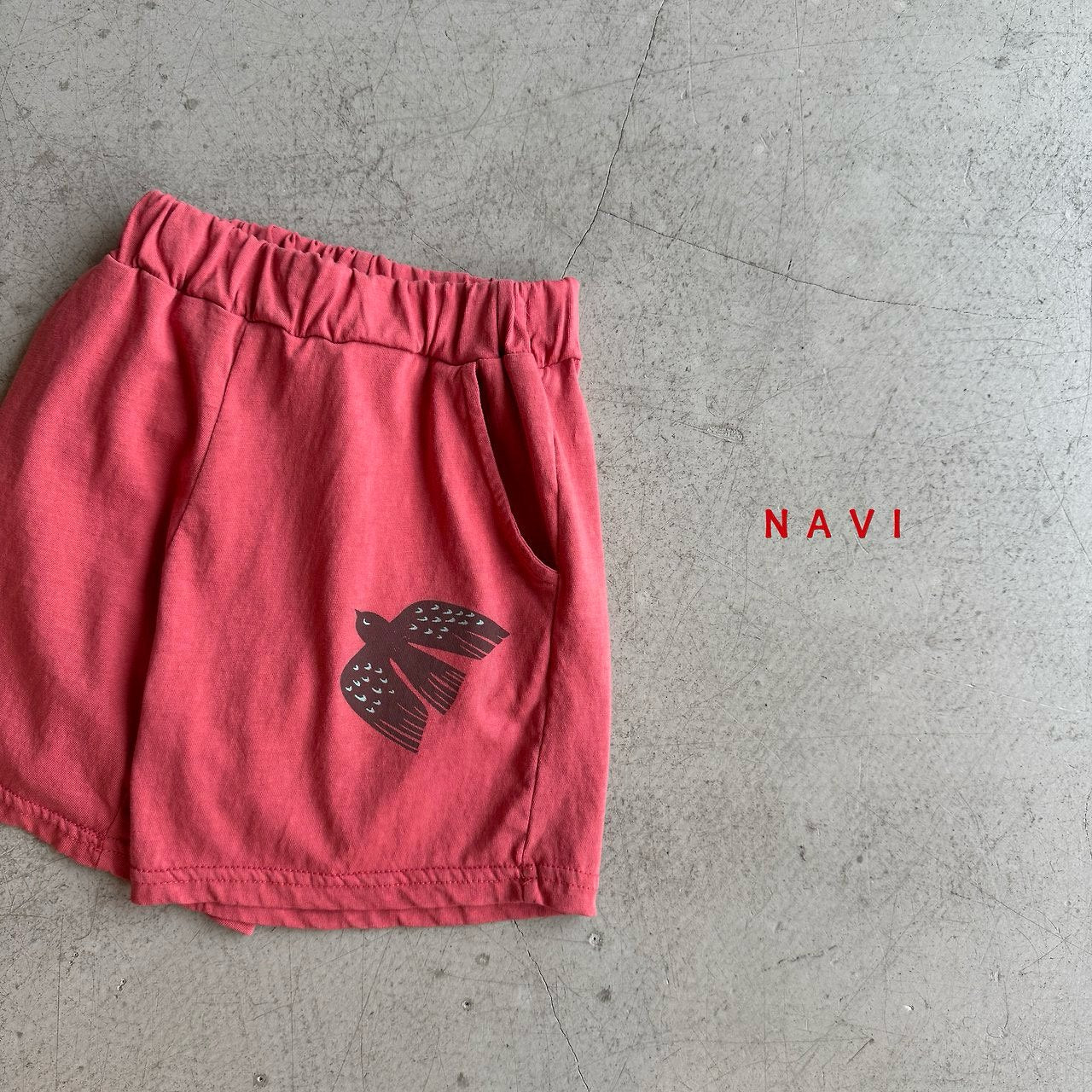 《予約》Wings Pants / Navi