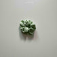 《予約》Check Mini Hair Scrunchie / andbutter