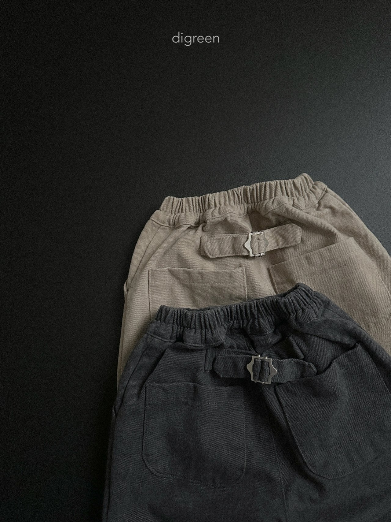 《予約》Minimal Pin Tuck pants / digreen