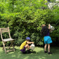 《予約》Hot Summer Pants / MINIMAL