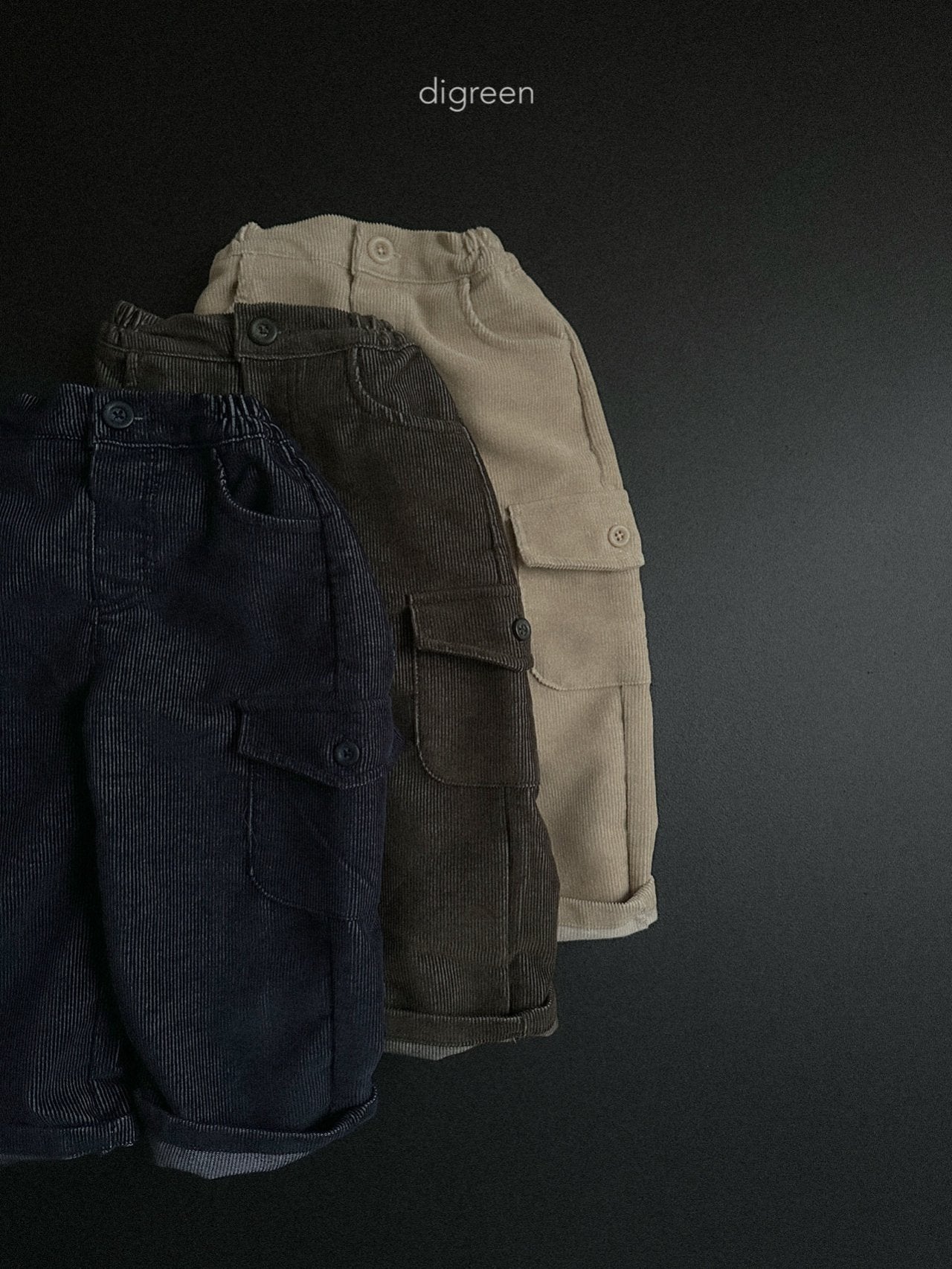 《予約》Cargo Pants / digreen