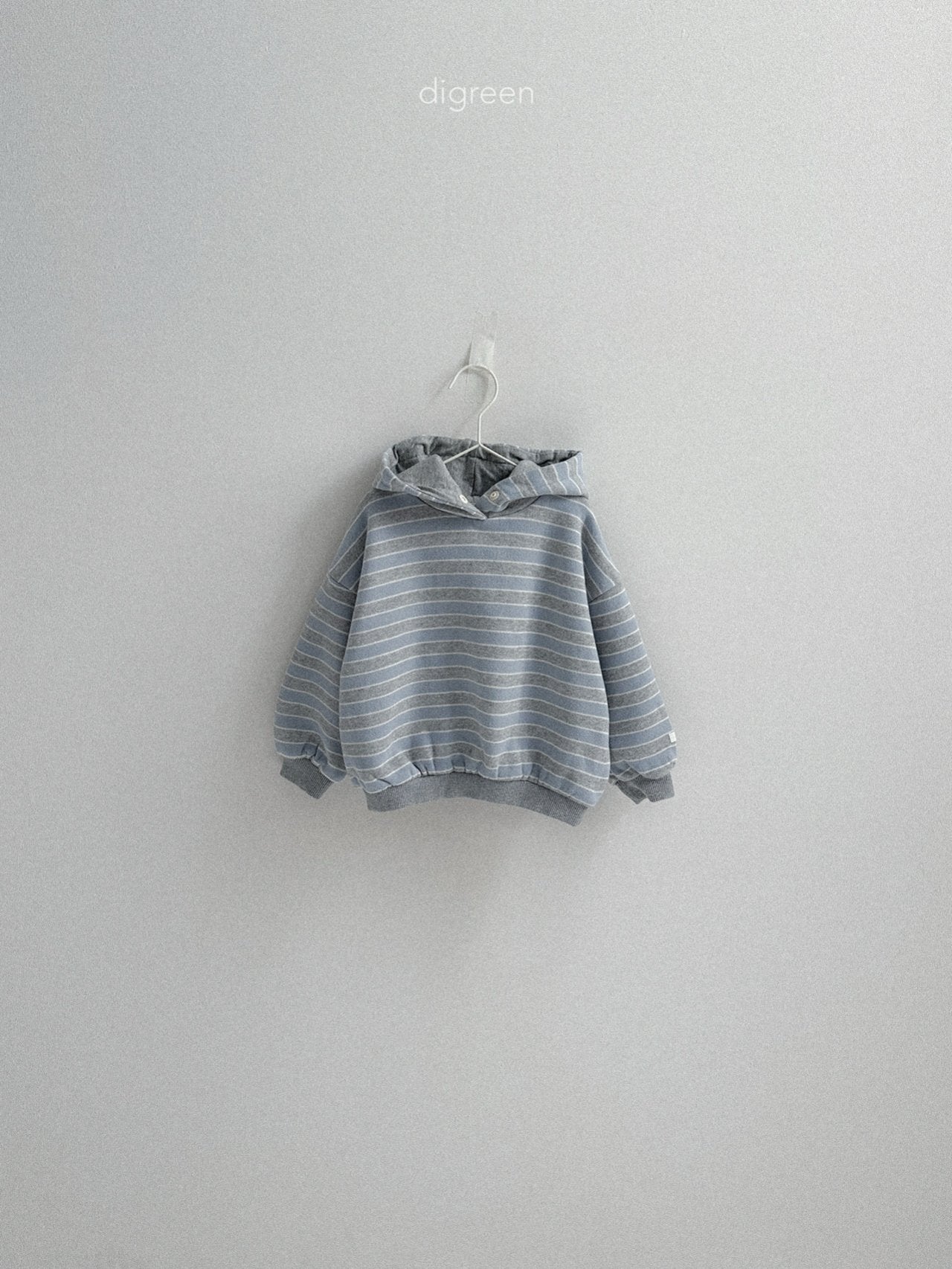 《予約》Snap Hoodie / digreen