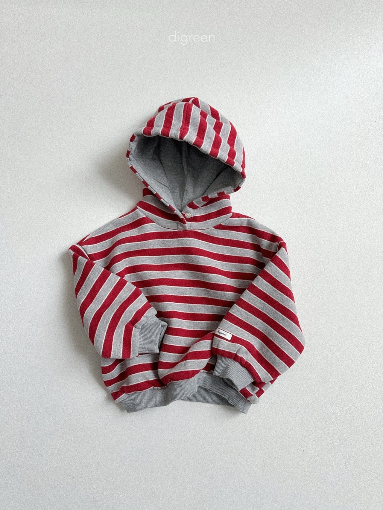 《予約》Snap Hoodie / digreen