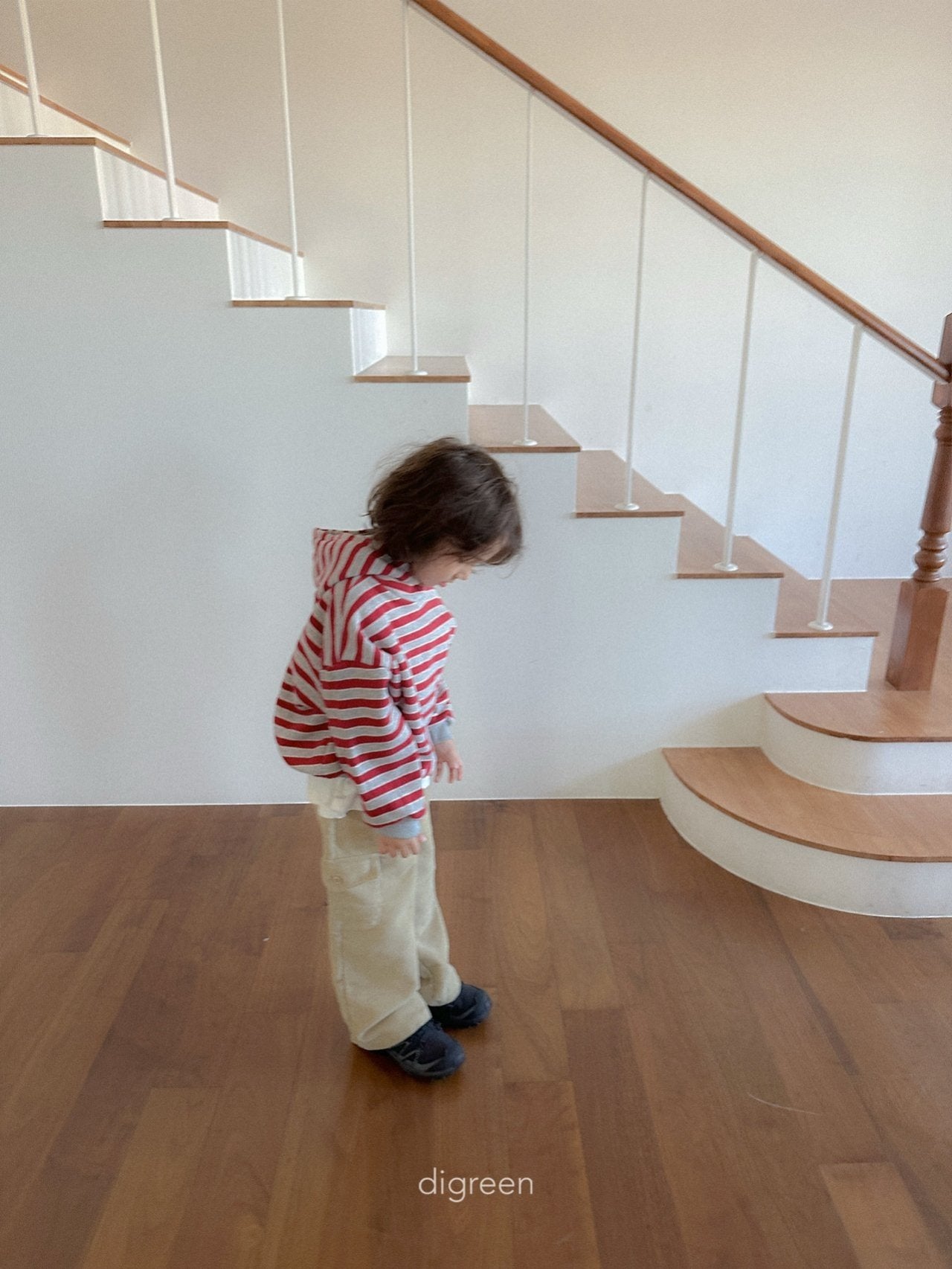 《予約》Snap Hoodie / digreen