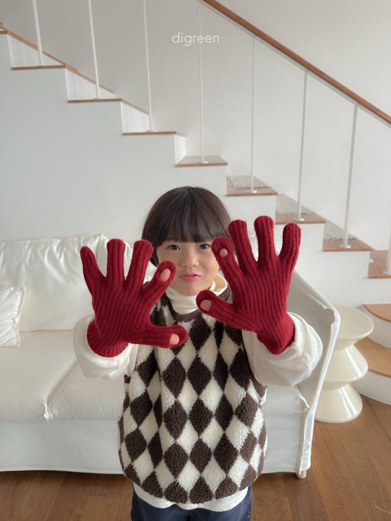 《予約》Argyle Vest / digreen