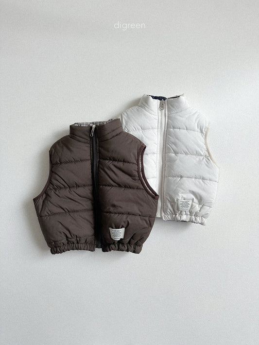 《予約》Reversible Vest / digreen