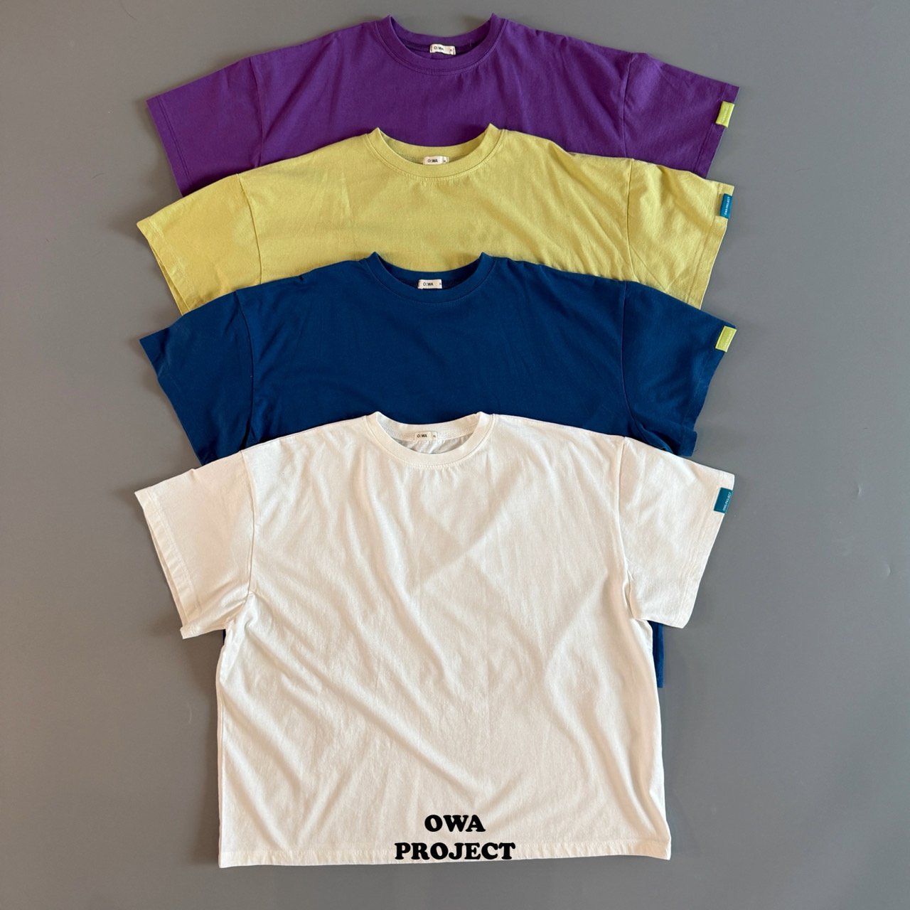 《予約》Colorful Tee / OWA PROJECT