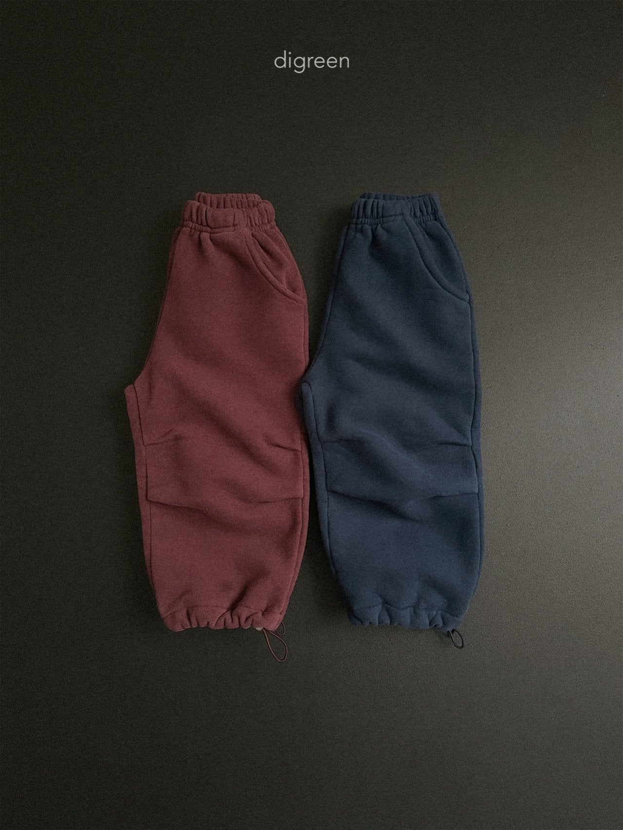 《予約》Pin Tuck Jogger Pants / digreen
