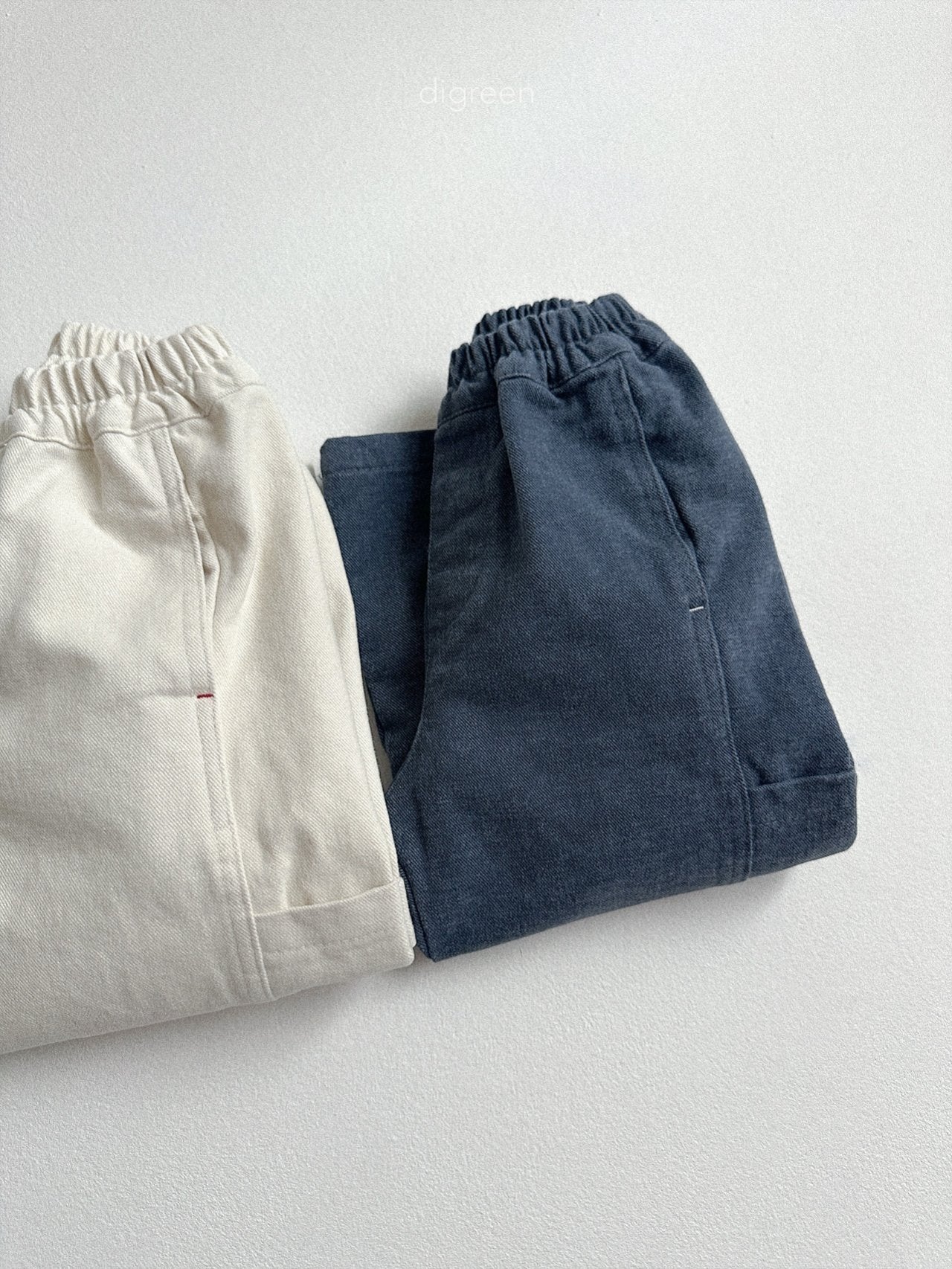 《予約》Flat Wide Pants / digreen