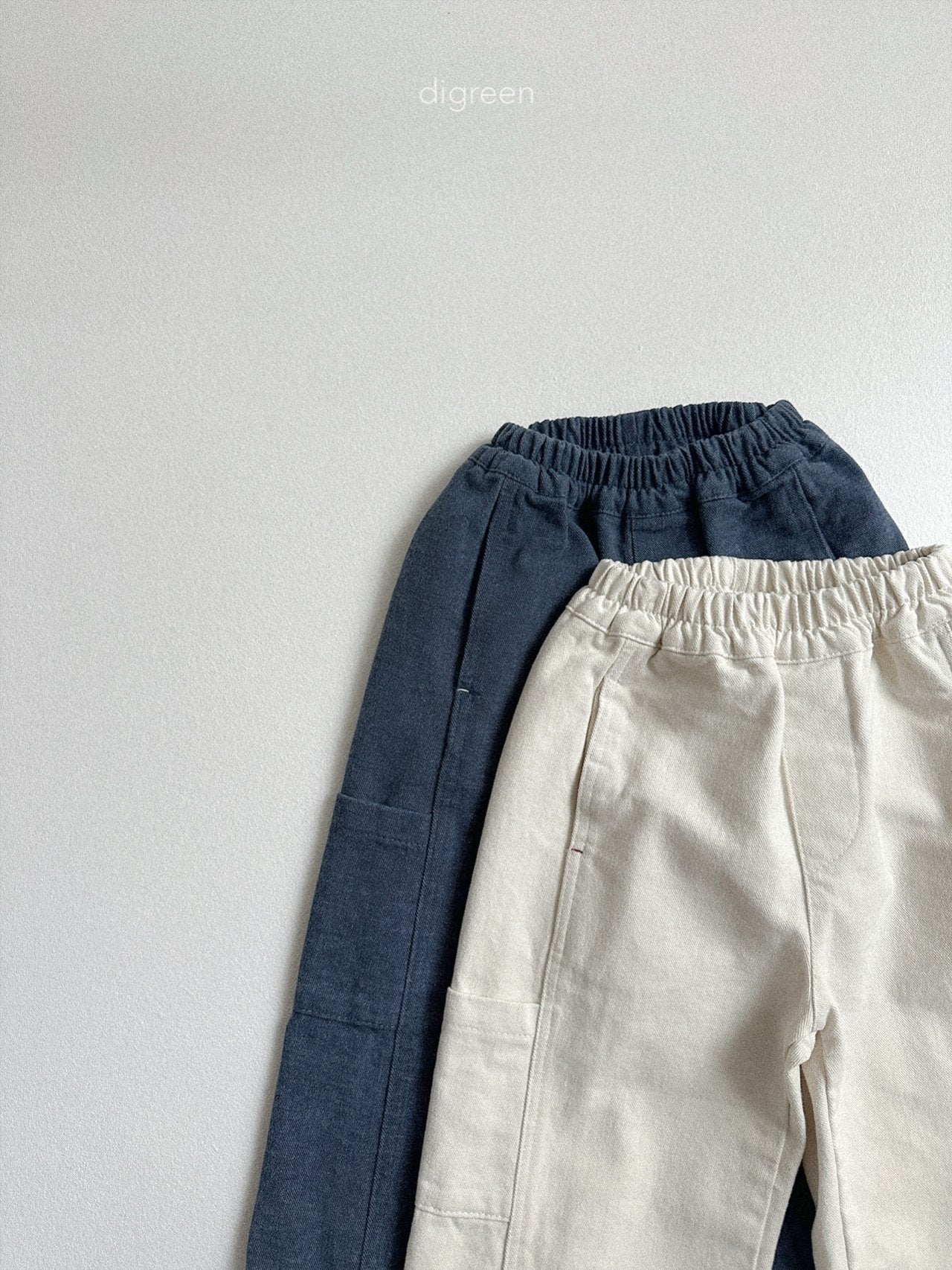 《予約》Flat Wide Pants / digreen