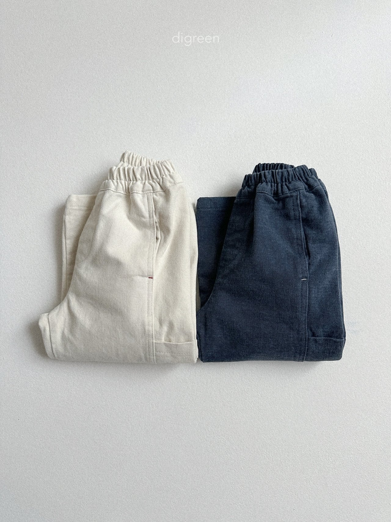 《予約》Flat Wide Pants / digreen