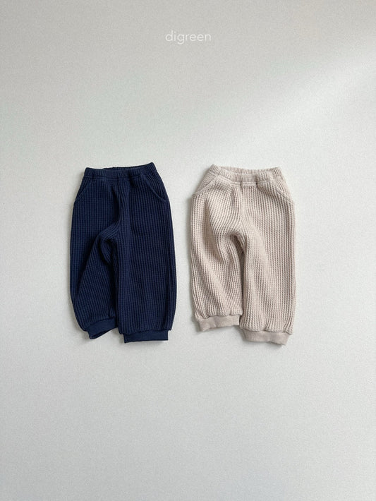 《予約》Waffle Pants / digreen