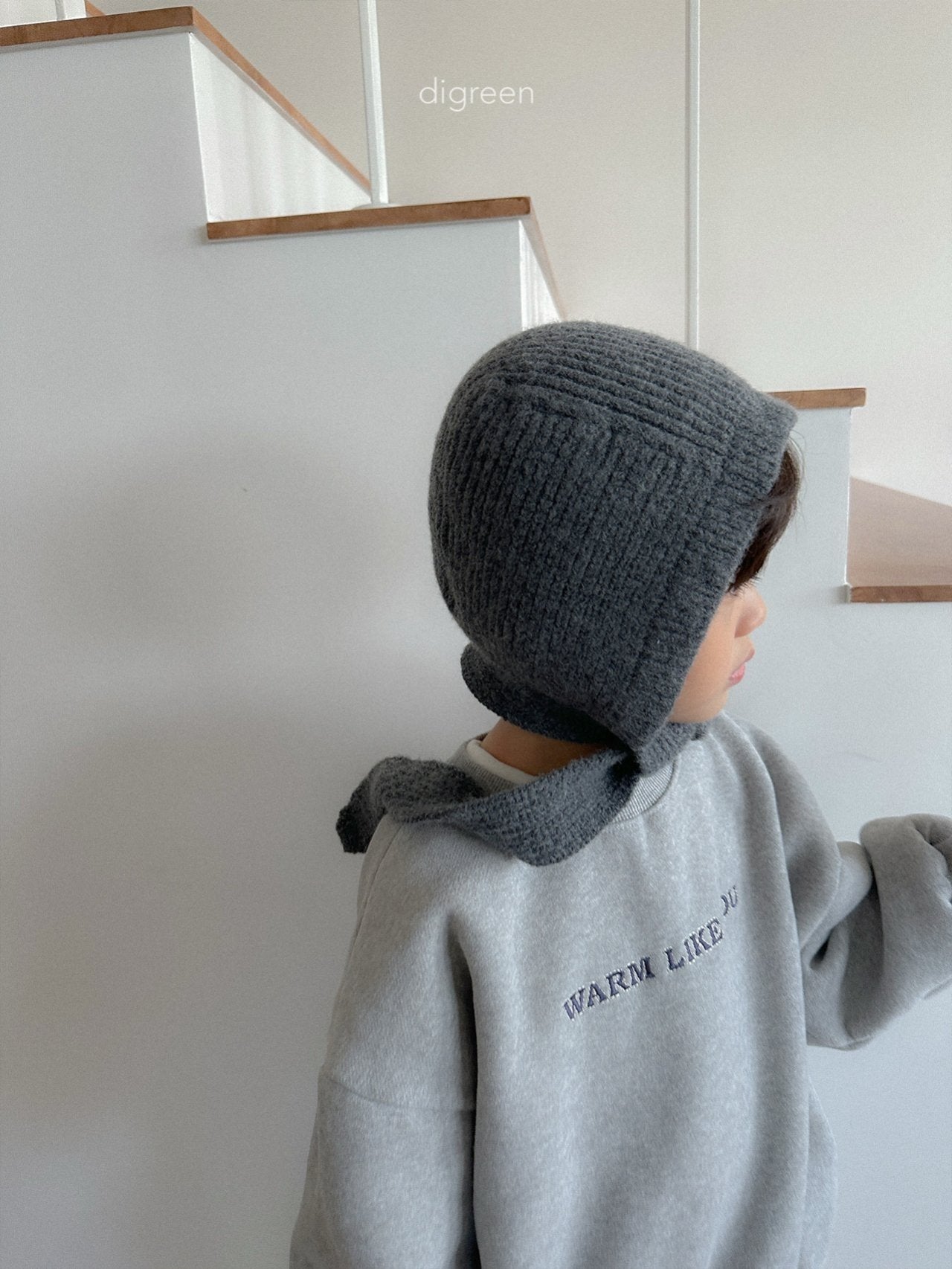 《予約》Momo Hood / digreen