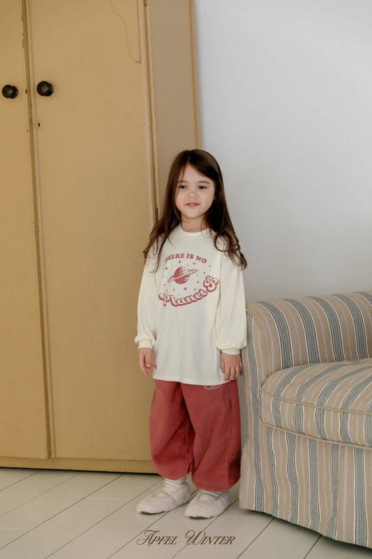 《予約》Hmong Tee / APFEL