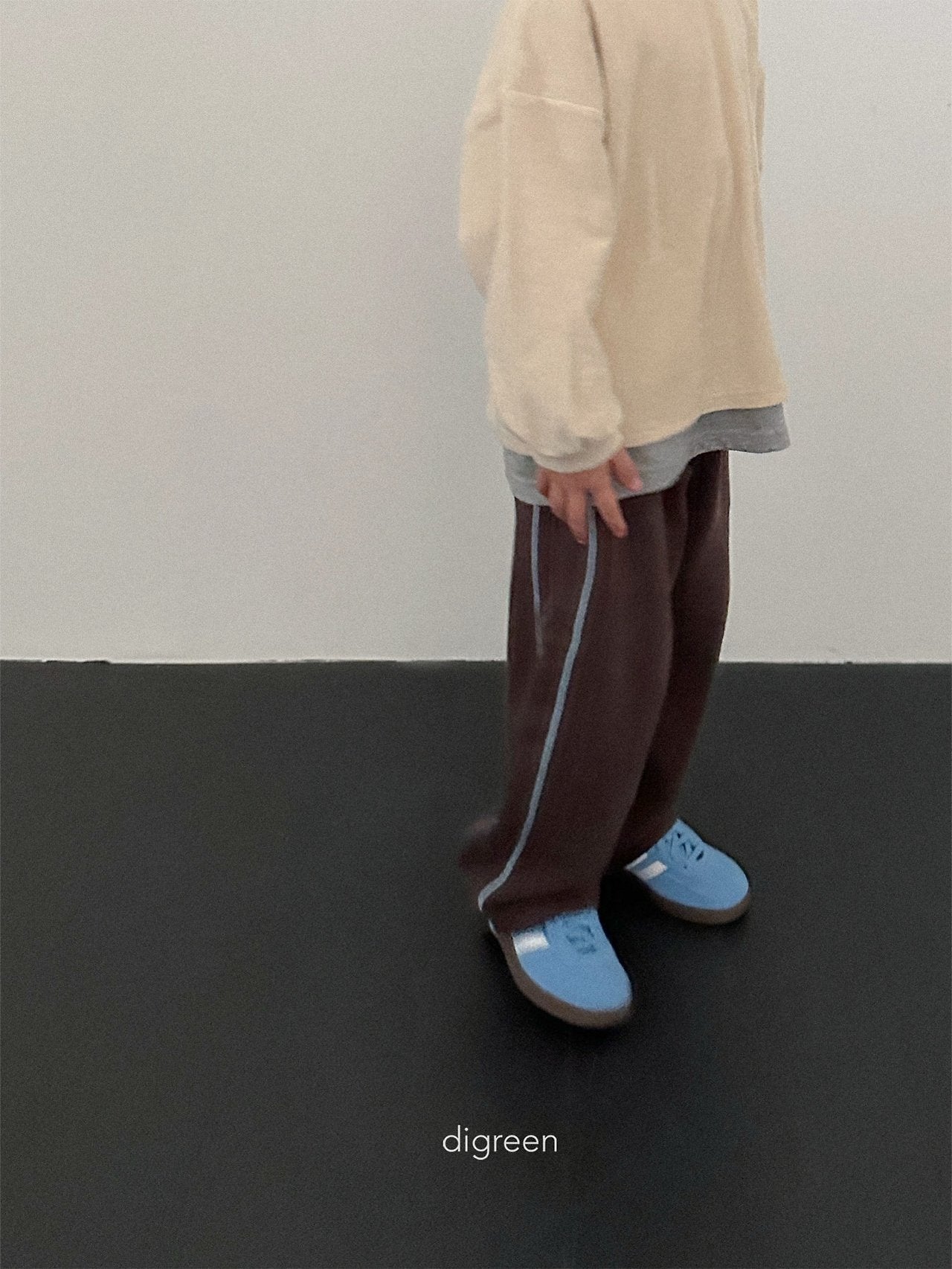 《予約》Denver Pants / digreen