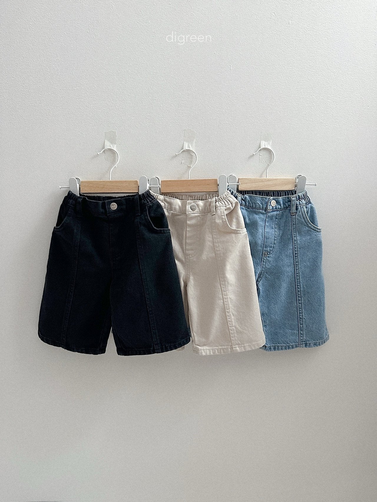 《予約》Panel Bermud Pants / digreen