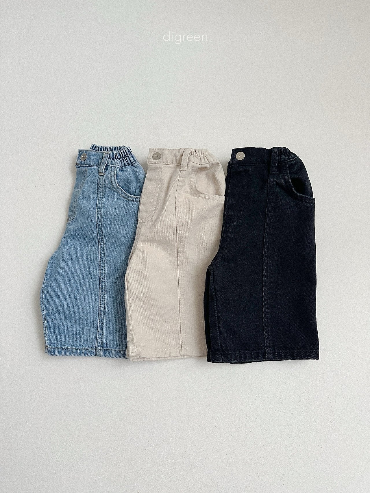 《予約》Panel Bermud Pants / digreen