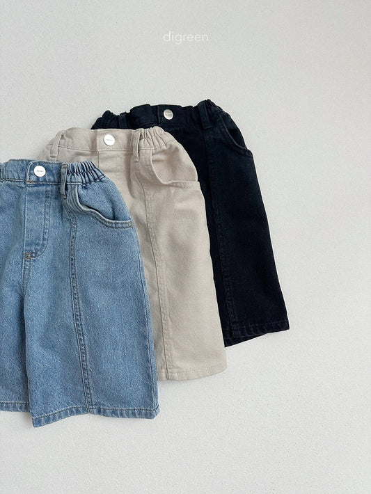《予約》Panel Bermud Pants / digreen