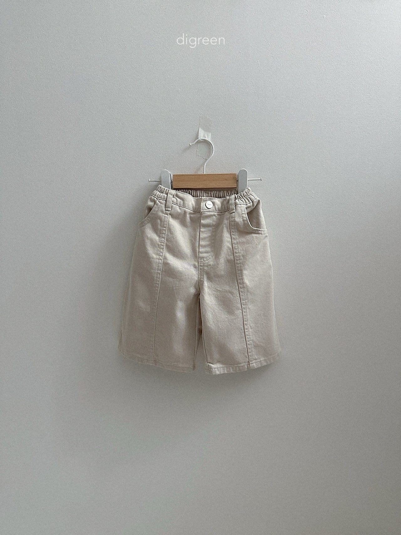 《予約》Panel Bermud Pants / digreen