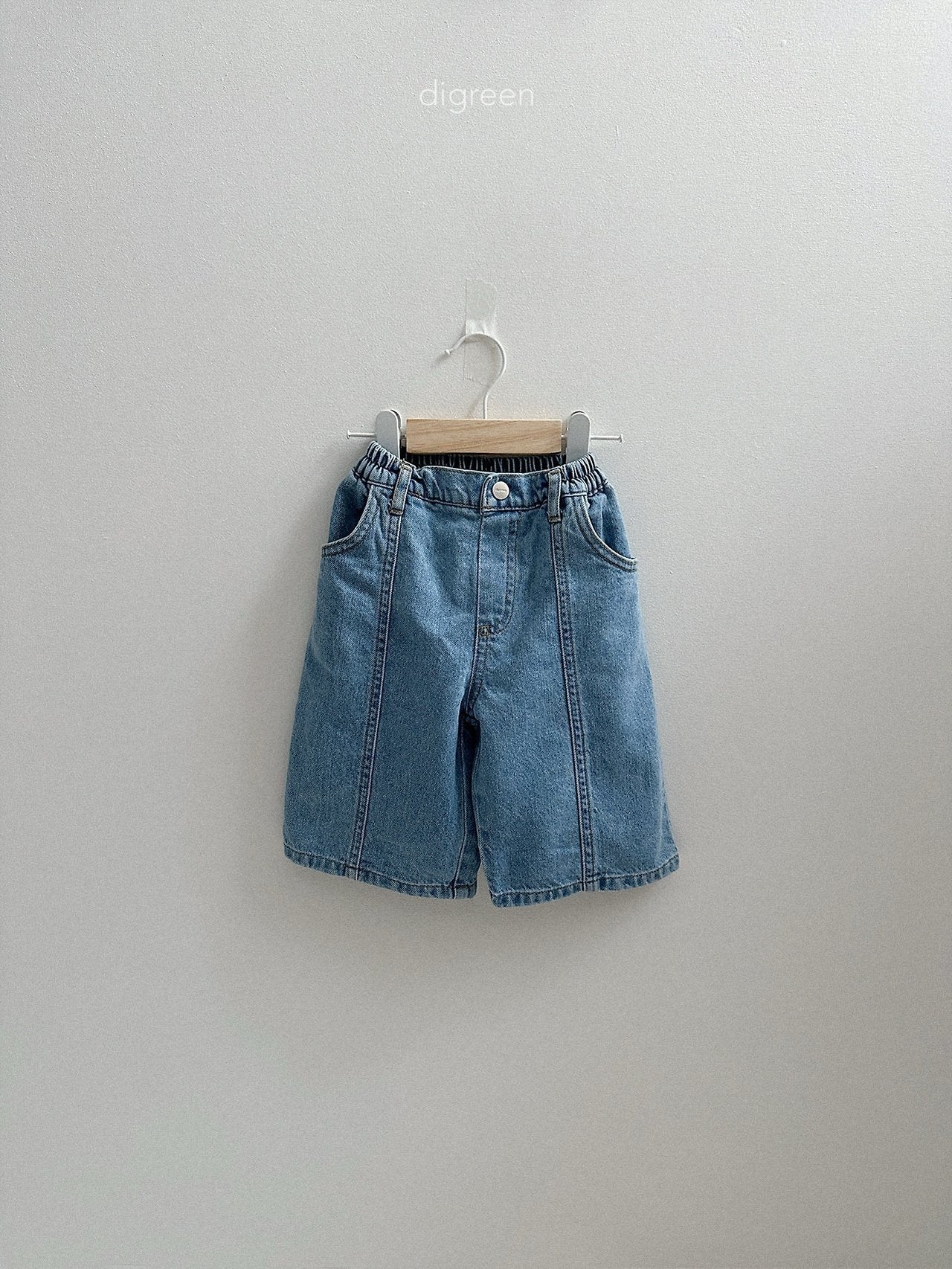 《予約》Panel Bermud Pants / digreen