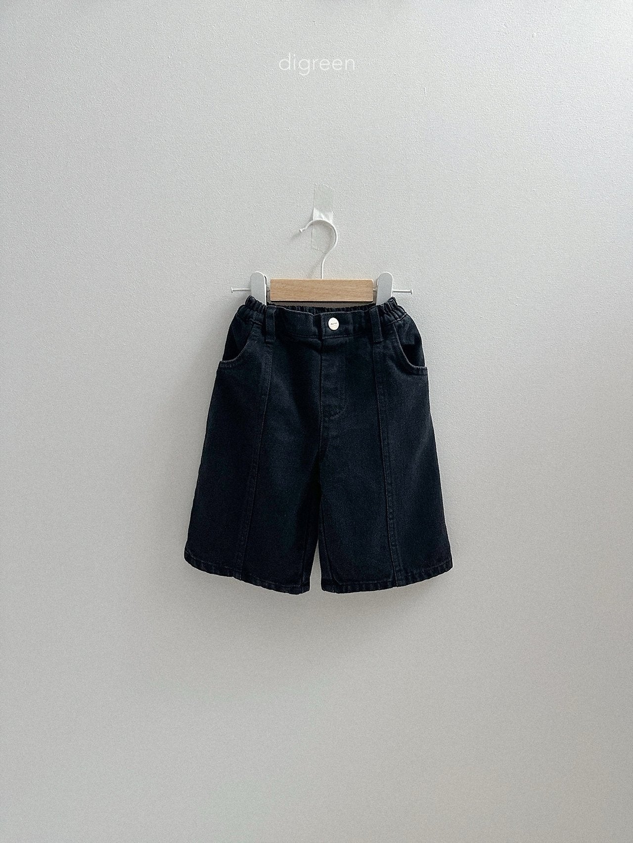 《予約》Panel Bermud Pants / digreen