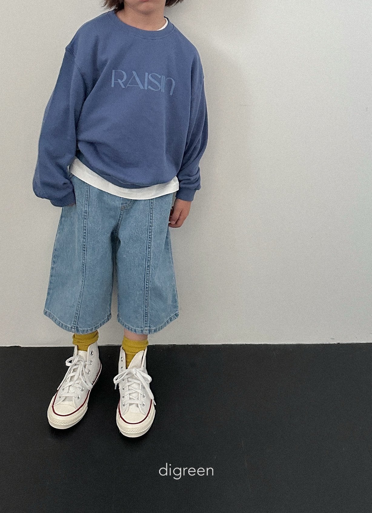 《予約》Panel Bermud Pants / digreen