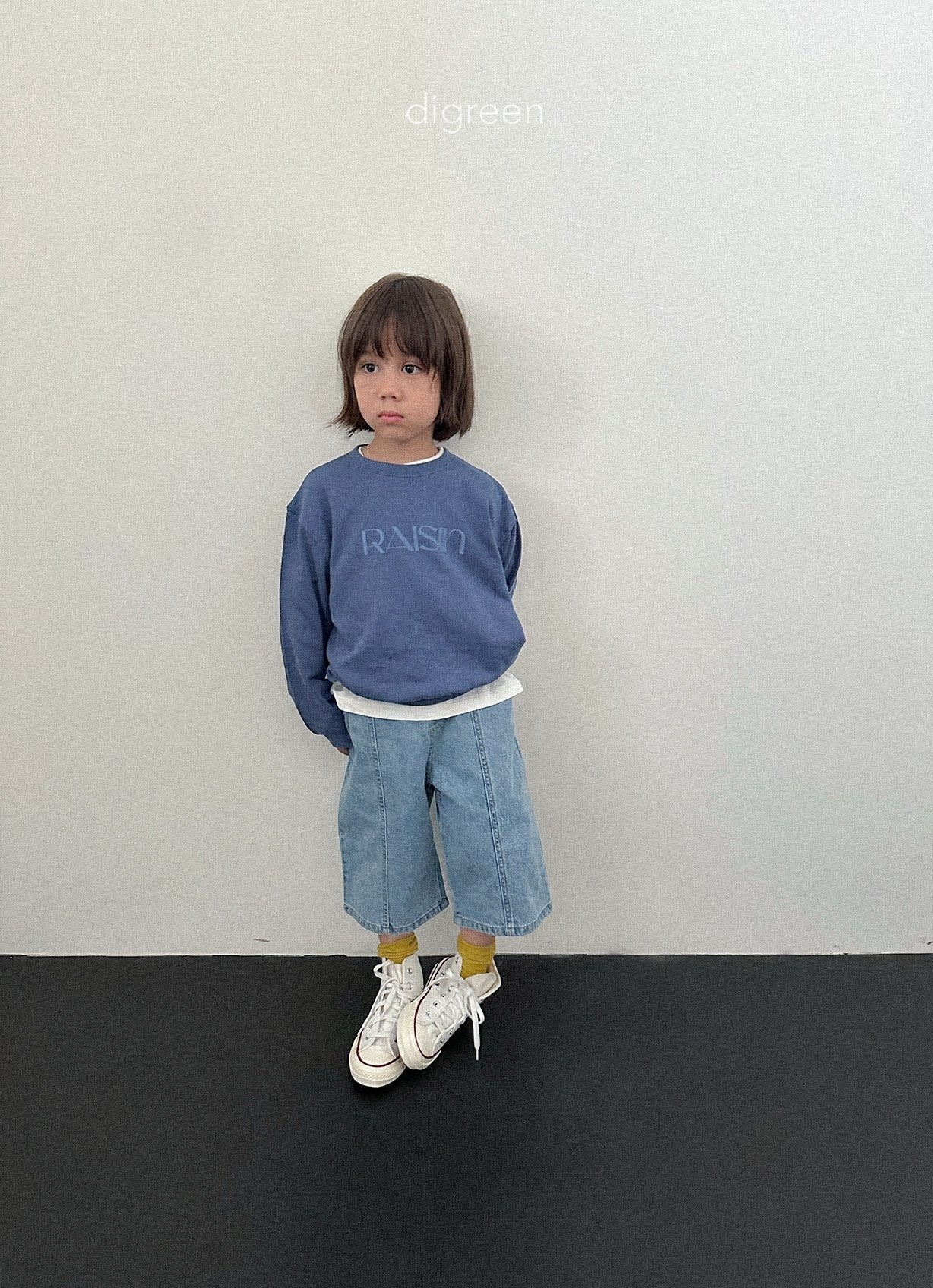 《予約》Panel Bermud Pants / digreen