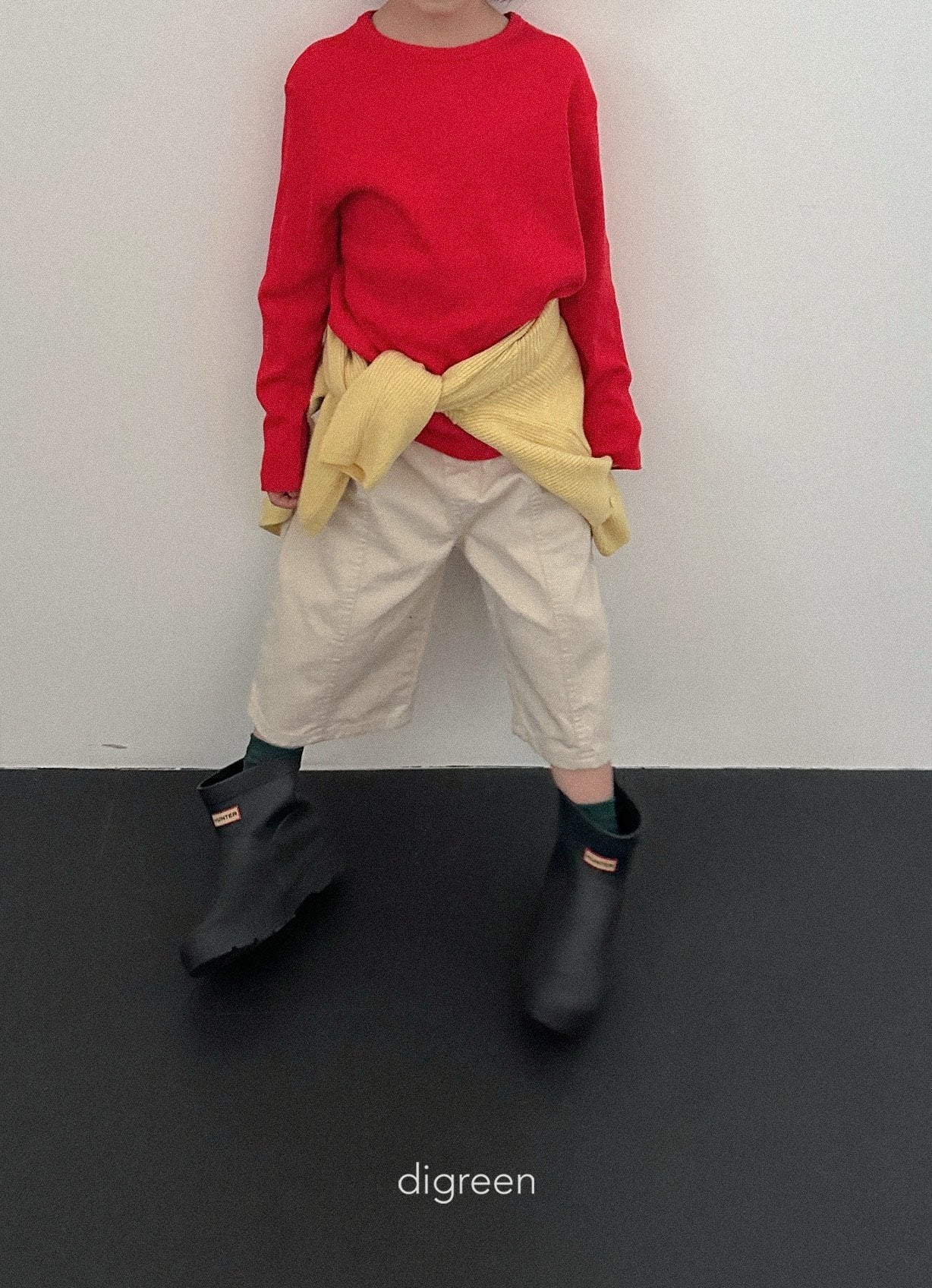 《予約》Panel Bermud Pants / digreen