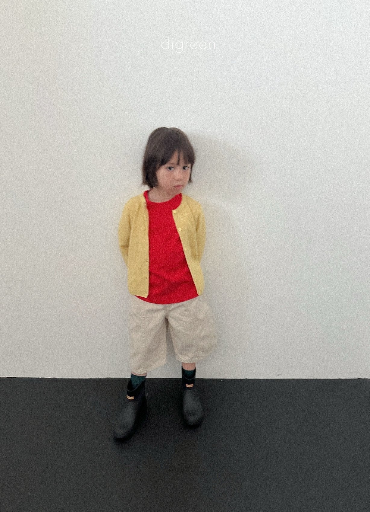 《予約》Panel Bermud Pants / digreen