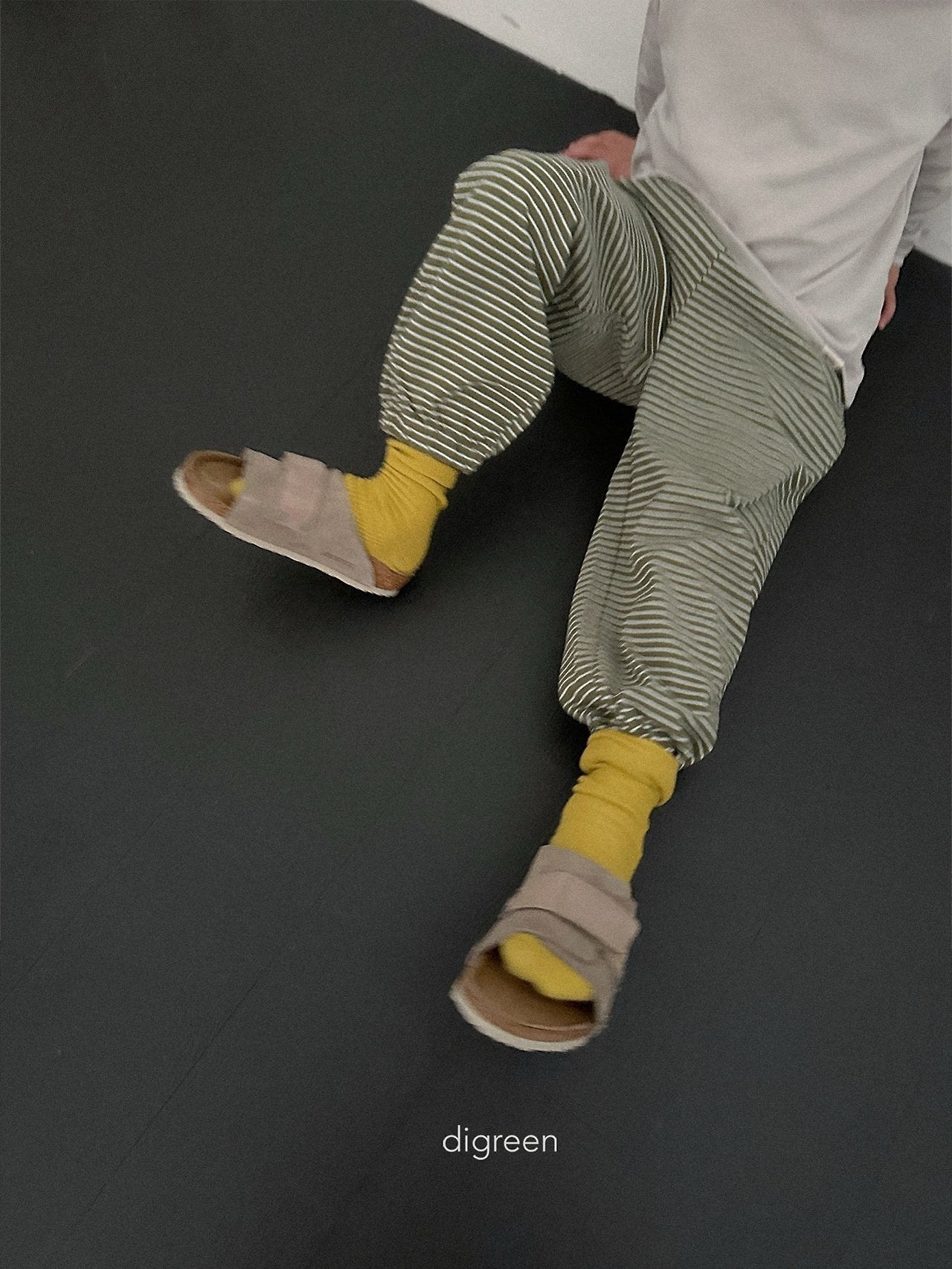 《予約》Stripe Jogger Pants / digreen