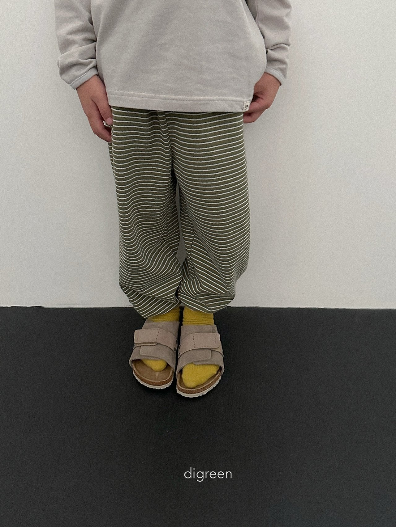 《予約》Stripe Jogger Pants / digreen