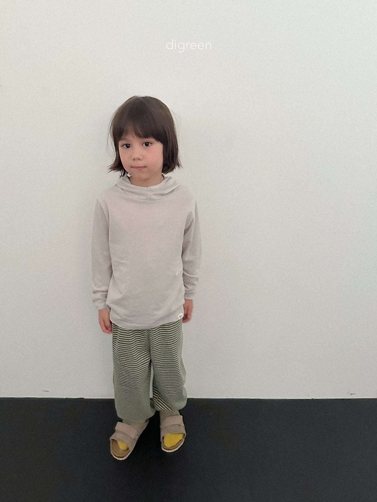 《予約》Stripe Jogger Pants / digreen