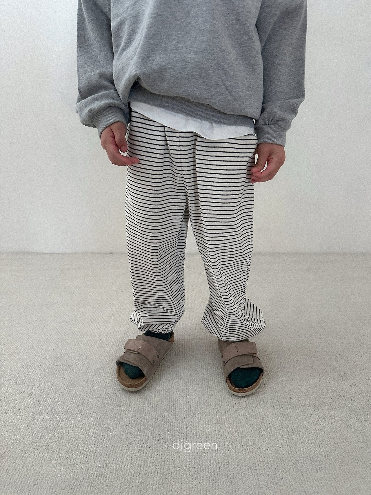 《予約》Stripe Jogger Pants / digreen