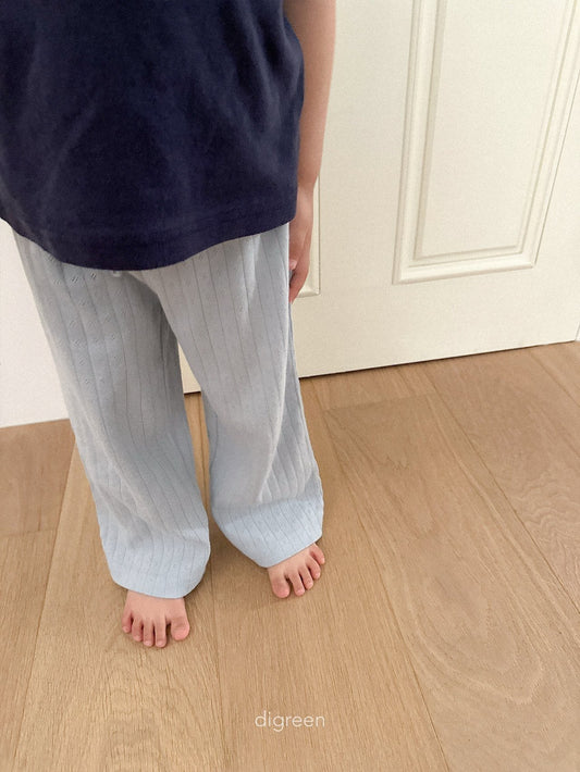 《予約》Brandy Pants / digreen