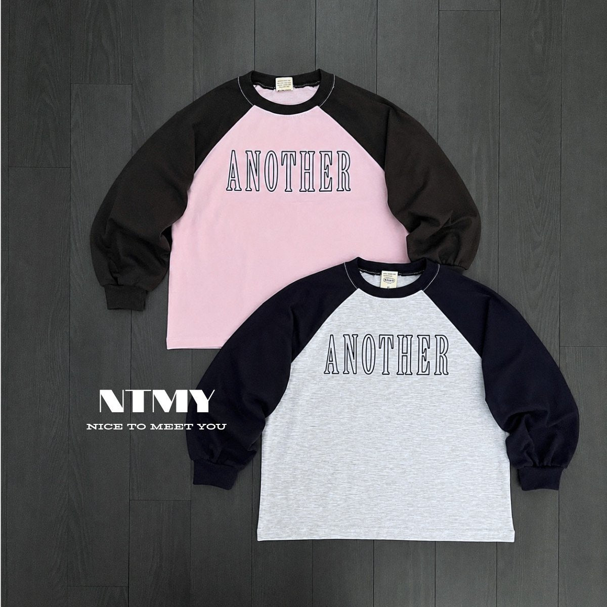 《予約》Another Raglan Tee / NTMY