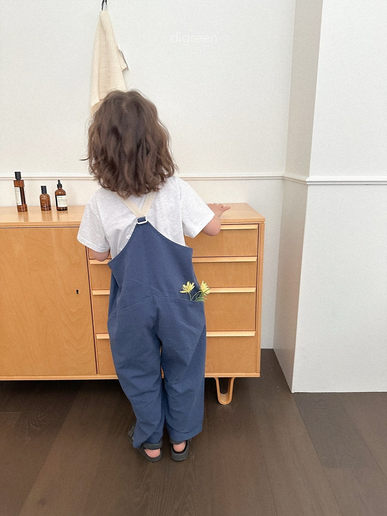 《予約》Nova Overalls / digreen