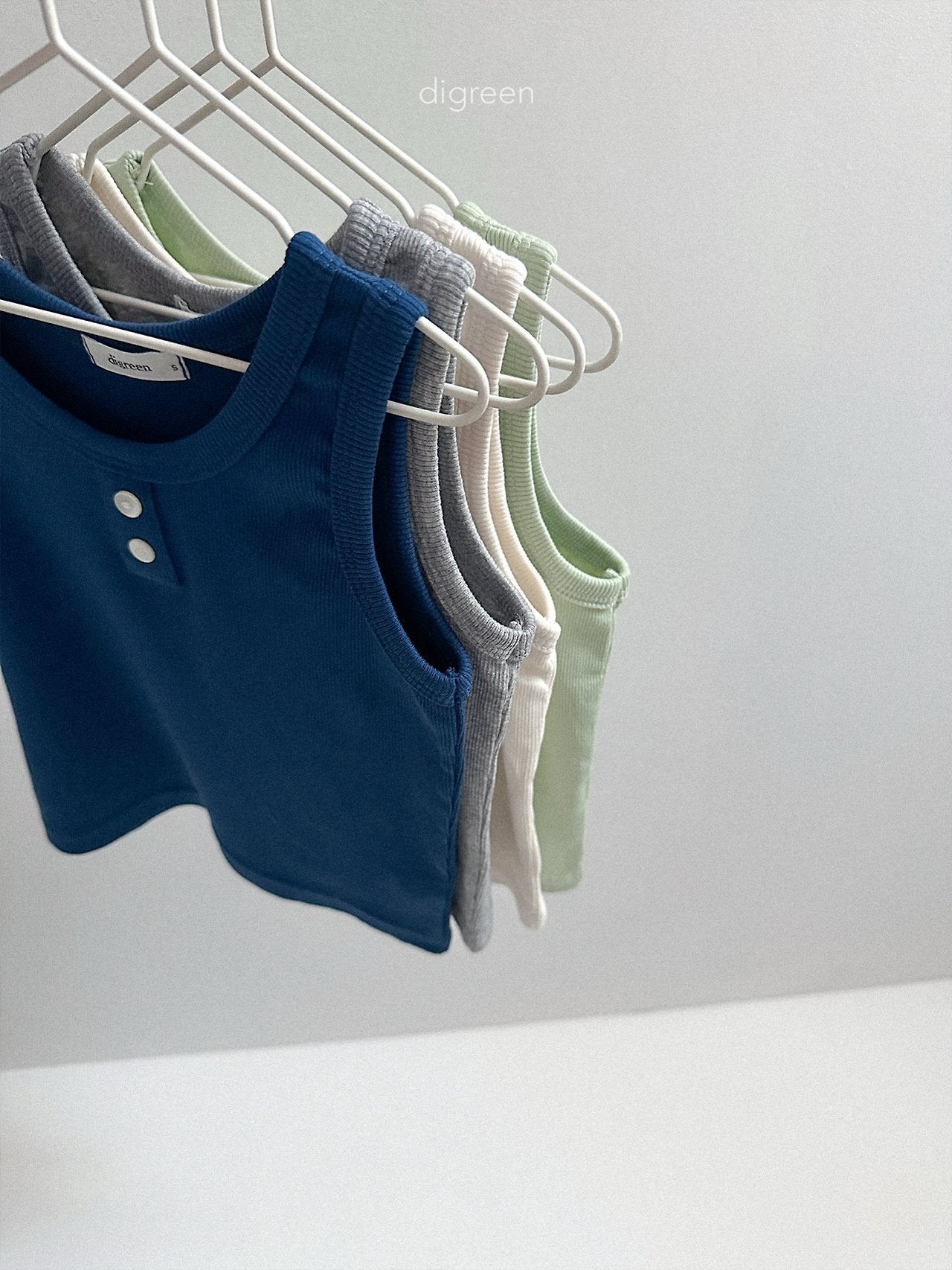 《予約》Layered Vest / digreen