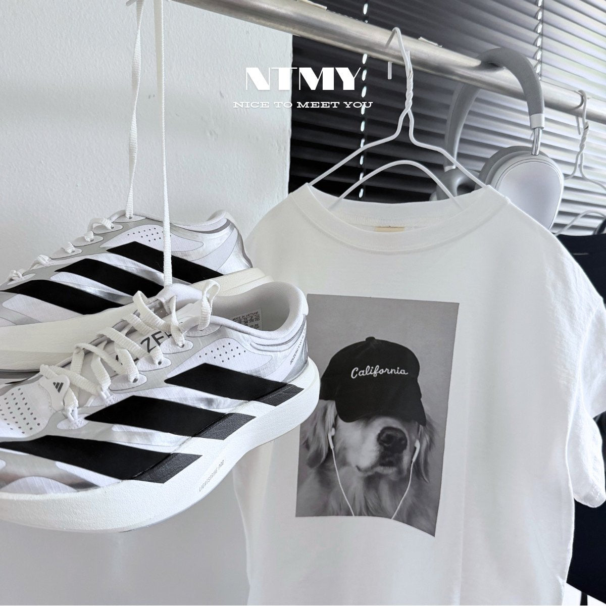 《予約》Hipdog Tee / NTMY