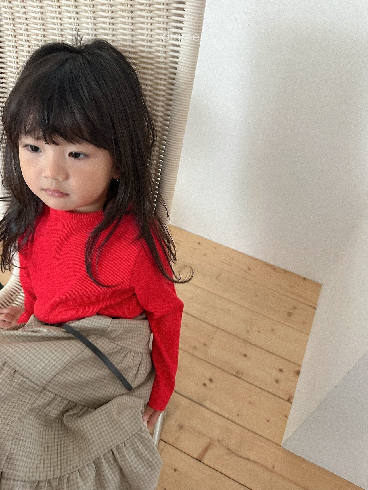 《予約》Check Ruffle Skirt / digreen