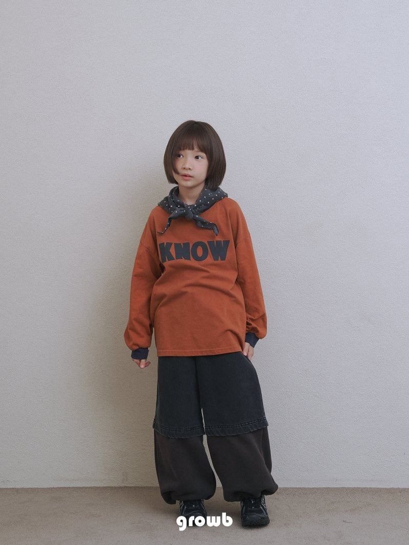 《予約》Hi Denim  / Growb