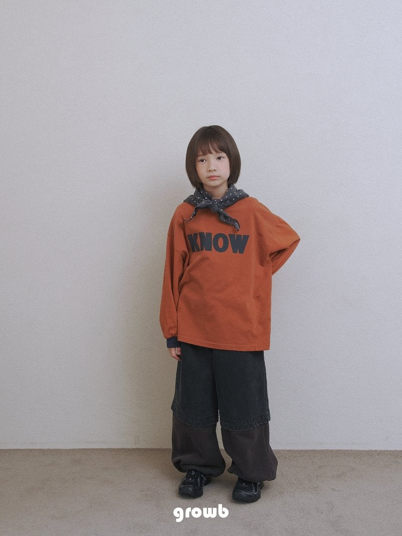 《予約》Hi Denim  / Growb