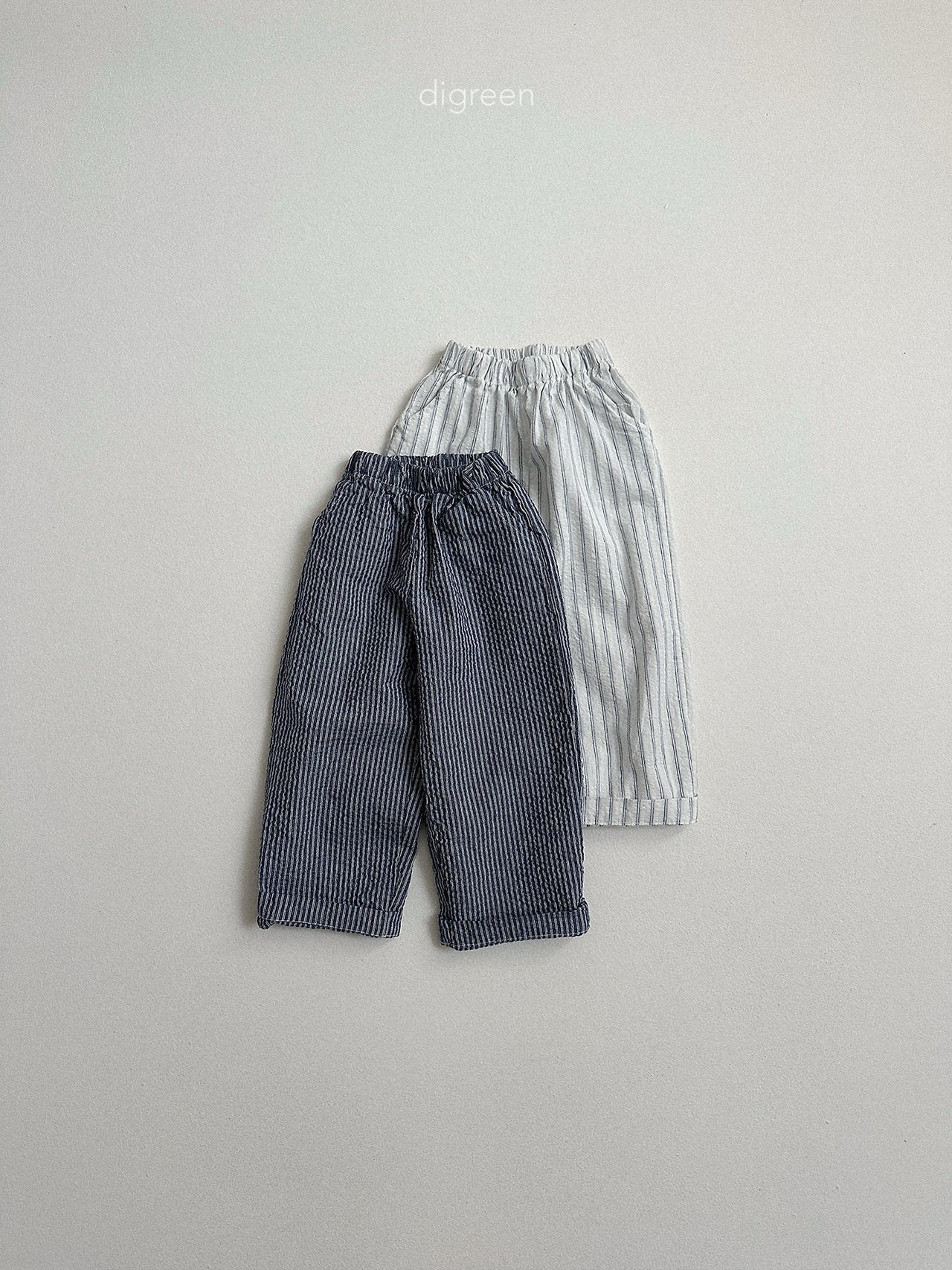 《予約》Classic Pants / digreen