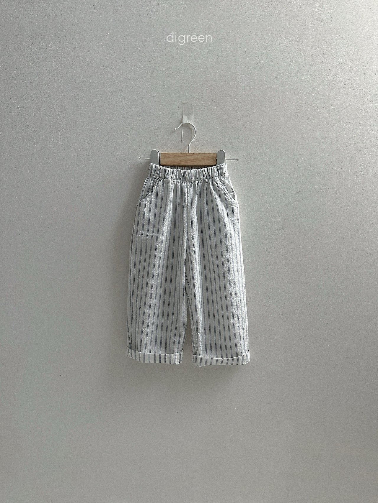 《予約》Classic Pants / digreen